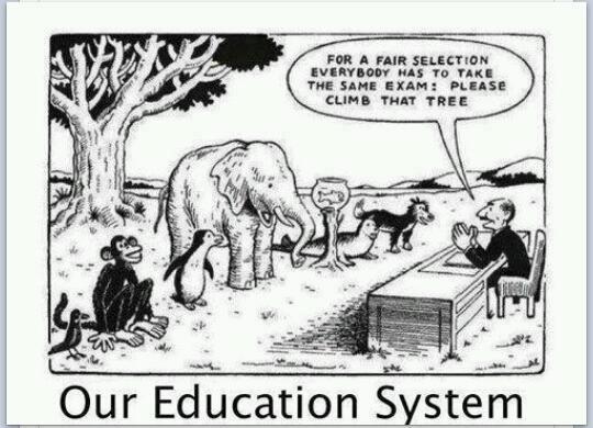 The American Education System