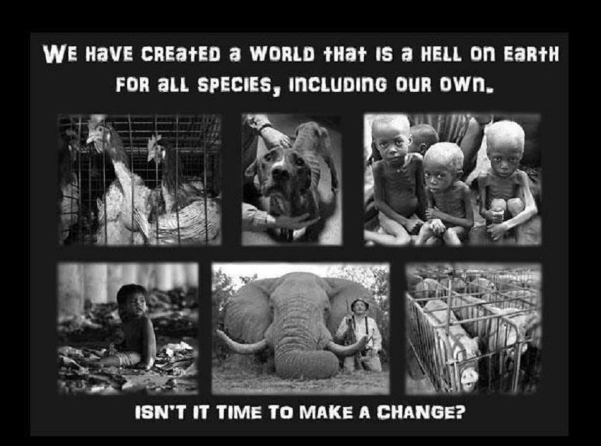 We have created a world that is hell on Earth, not only for our own species but other species as well