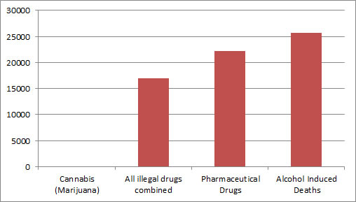 chart of drug deaths in the United States 2010